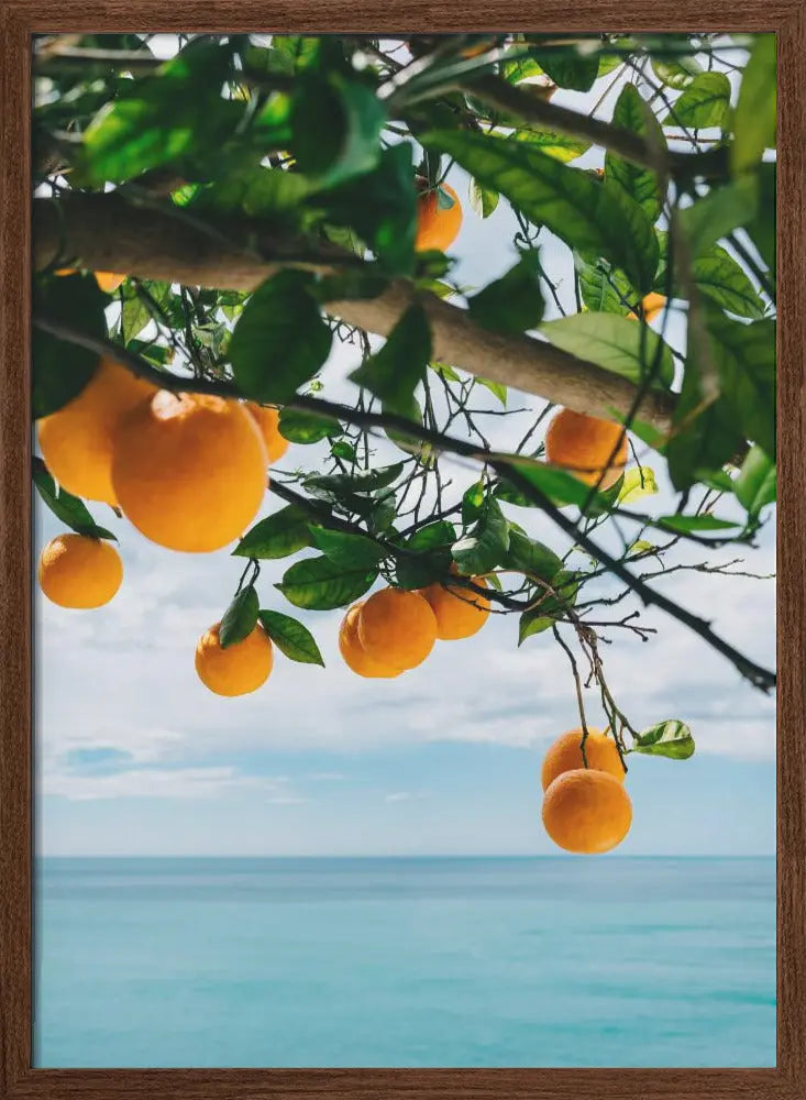 Amalfi Coast Oranges IV - Stretched Canvas, Poster or Fine Art Print I Heart Wall Art