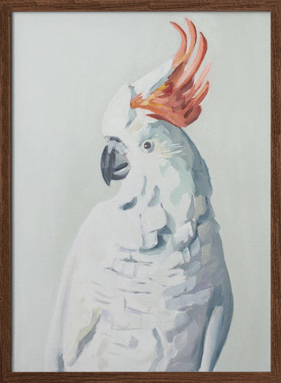 White Cockadoo - Stretched Canvas, Poster or Fine Art Print I Heart Wall Art