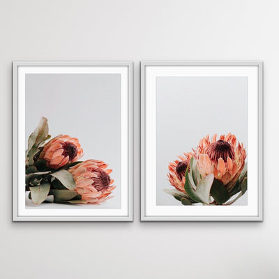 Orange Proteas - Two Piece Protea Photographic Print Canvas Framed Wall Art Diptych - I Heart Wall Art