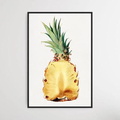 Vintage Pineapple Cut in Half - I Heart Wall Art