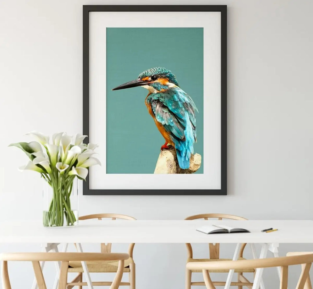 Australian native birds and botanicals wall art - I Heart Wall Art 