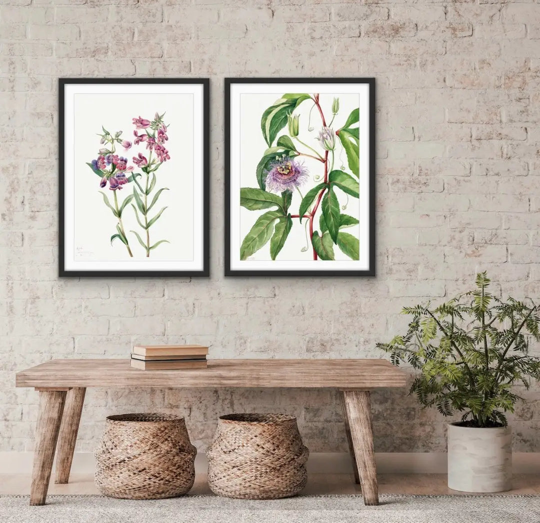 Mary Vaux Walcott Prints - I Heart Wall Art 