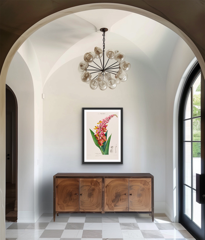 Indian Shot Plant from Flore d'Amérique (1843-1846) by Étienne Denisse - Botanical Illustration Stretched Canvas or Wall Art Print