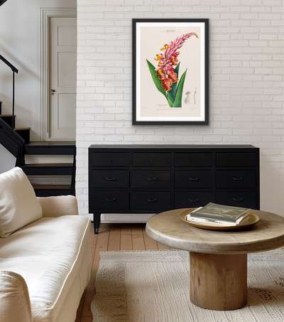 Indian Shot Plant from Flore d'Amérique (1843-1846) by Étienne Denisse - Botanical Illustration Stretched Canvas or Wall Art Print