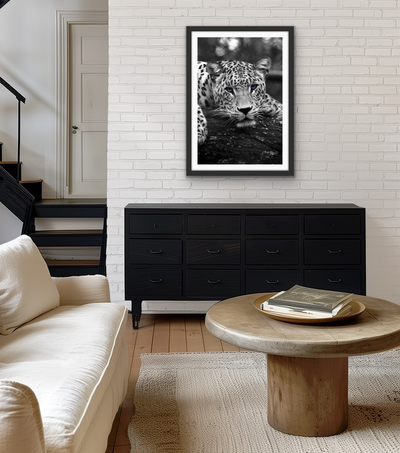 Blue Eyed Leopard - Black and White Animal Stretched Canvas or Wall Art Print I Heart Wall Art