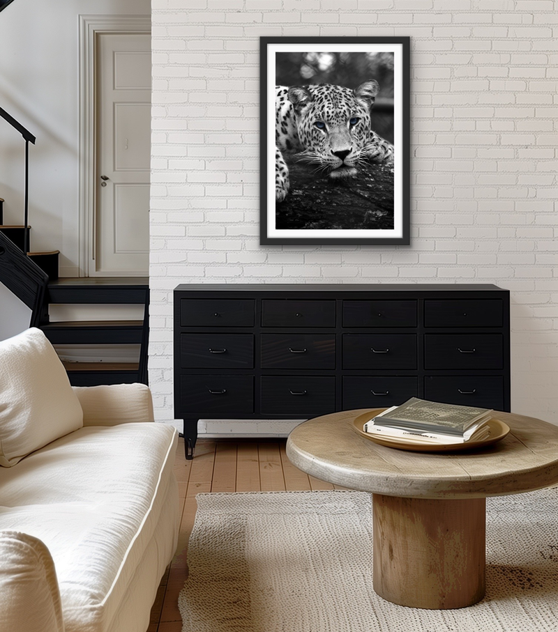 Blue Eyed Leopard - Black and White Animal Stretched Canvas or Wall Art Print I Heart Wall Art