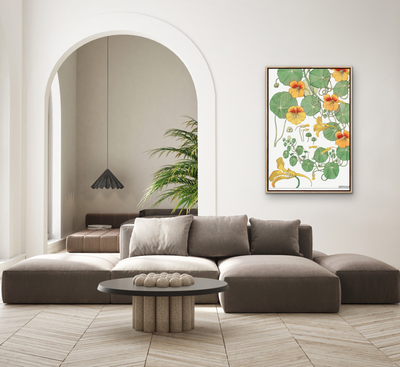 Capucine (Nasturtium) From La Plante et Ses Applications Ornementales (1896) Illustrated by Maurice Pillard Verneuil - Stretched Canvas or Wall Art Print I Heart Wall Art Australia