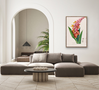 Indian Shot Plant from Flore d'Amérique (1843-1846) by Étienne Denisse - Botanical Illustration Stretched Canvas or Wall Art Print