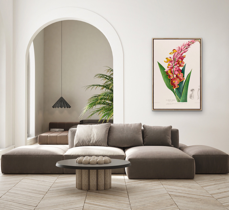 Indian Shot Plant from Flore d&