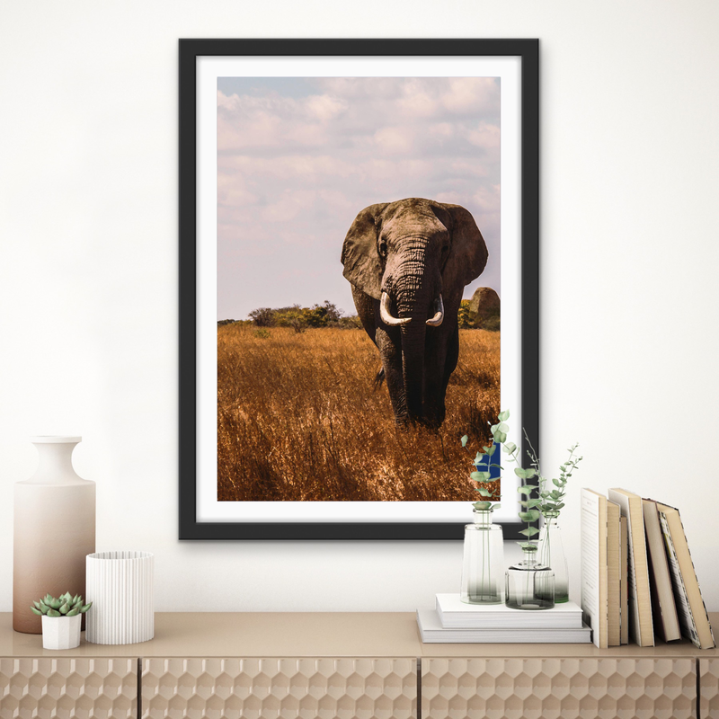 When in Africa - Elephant Safari Stretched Canvas or Wall Art Print I Heart Wall Art Australia