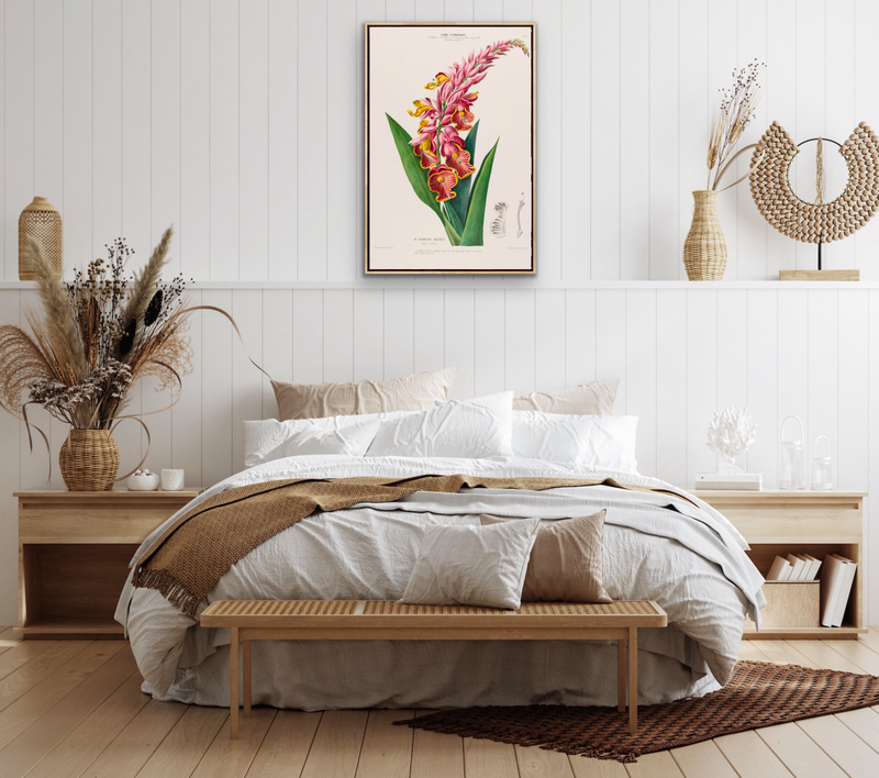 Indian Shot Plant from Flore d&