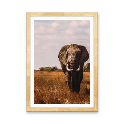 When in Africa - Elephant Safari Stretched Canvas or Wall Art Print I Heart Wall Art Australia
