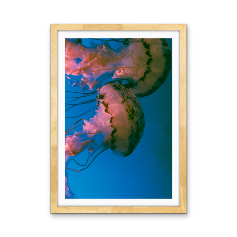 Deep Sea Jellies - Blue Oceanic Underwater Stretched Canvas or Wall Art Print I Heart Wall Art