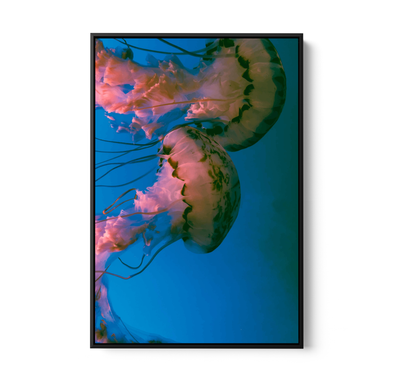 Deep Sea Jellies - Blue Oceanic Underwater Stretched Canvas or Wall Art Print I Heart Wall Art
