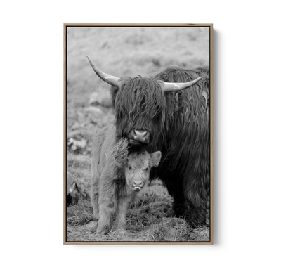 Highland Pair - Black & White Photographic Print, Stretched Canvas or Wall Art Print I Heart Wall Art