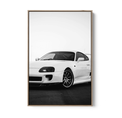 Supra - Stretched Canvas, Poster or Fine Art Print I Heart Wall Art