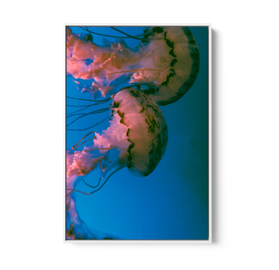Deep Sea Jellies - Blue Oceanic Underwater Stretched Canvas or Wall Art Print I Heart Wall Art