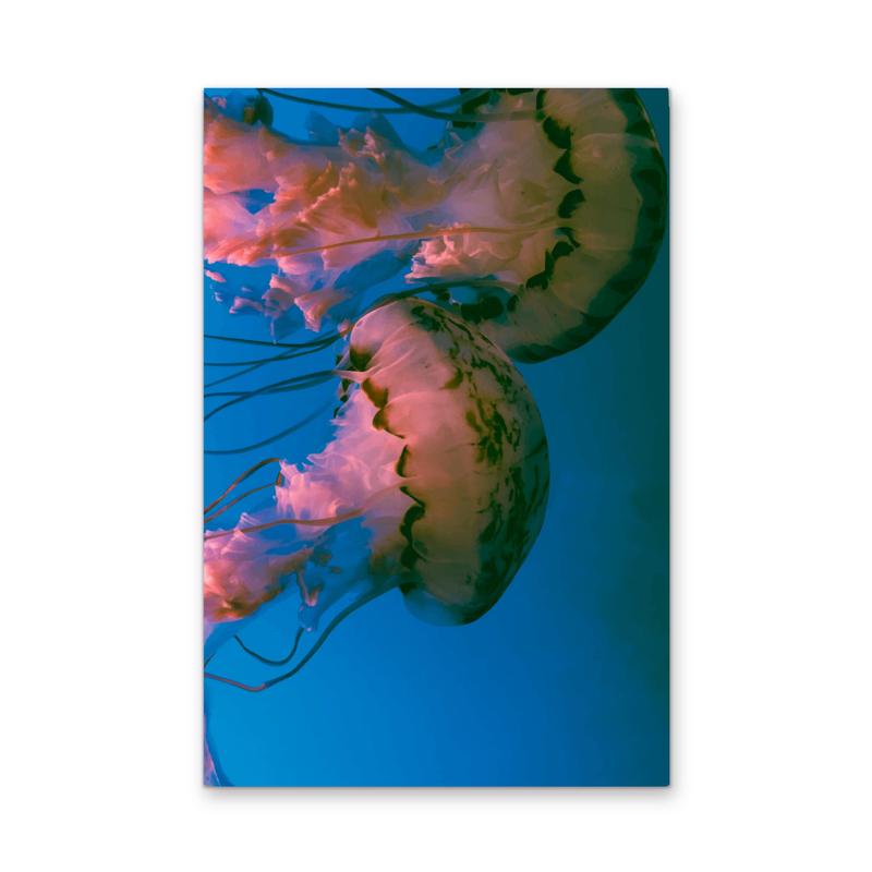 Deep Sea Jellies - Blue Oceanic Underwater Stretched Canvas or Wall Art Print I Heart Wall Art