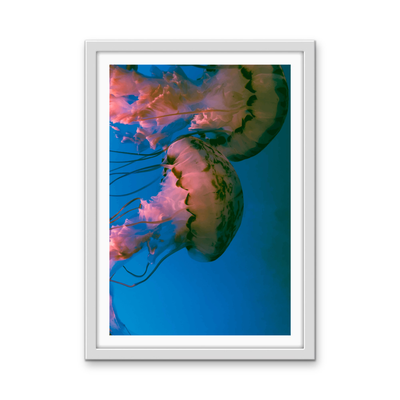 Deep Sea Jellies - Blue Oceanic Underwater Stretched Canvas or Wall Art Print I Heart Wall Art