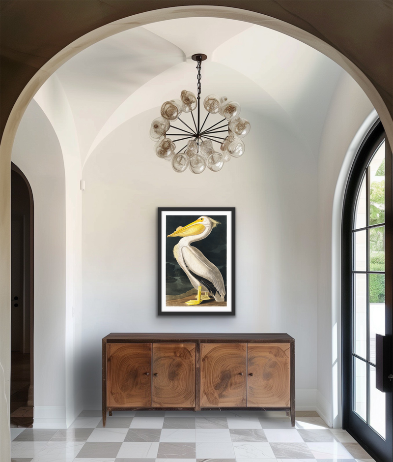 American White Pelican from Birds of America (1827) by John James Audubon - Stretched Canvas or Framed Fine Art Print I Heart Wall Art Australia