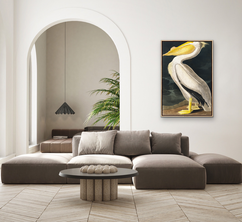 American White Pelican from Birds of America (1827) by John James Audubon - Stretched Canvas or Framed Fine Art Print I Heart Wall Art Australia