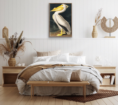 American White Pelican from Birds of America (1827) by John James Audubon - Stretched Canvas or Framed Fine Art Print I Heart Wall Art Australia