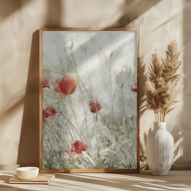 Corn Rose - Square Stretched Canvas, Poster or Fine Art Print I Heart Wall Art