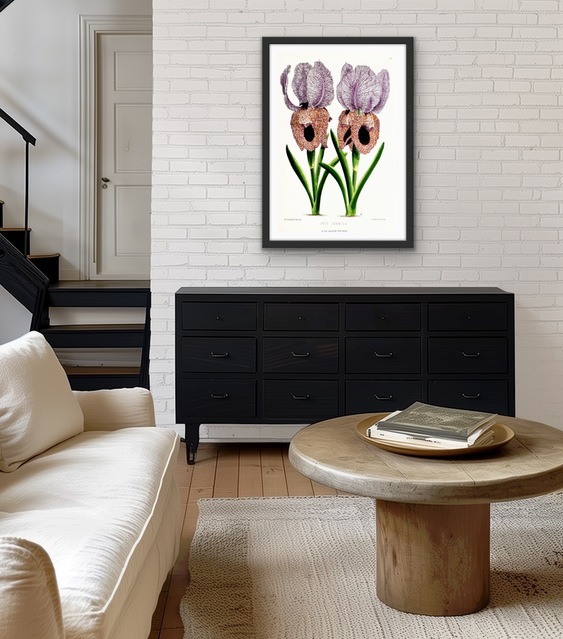 Iris of Flower artists of Kew from The Floral Magazine (1861-1881) by Worthington G. Smith, John N. Fitch and Walter H. Fitch - Botanical Illustration Stretched Canvas or Wall Art Print