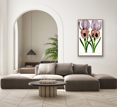 Iris of Flower artists of Kew from The Floral Magazine (1861-1881) by Worthington G. Smith, John N. Fitch and Walter H. Fitch - Botanical Illustration Stretched Canvas or Wall Art Print