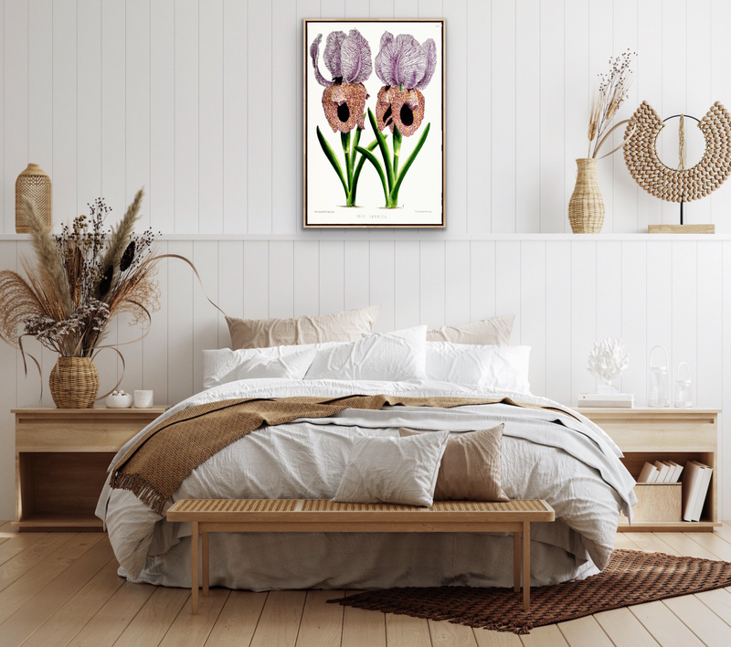 Iris of Flower artists of Kew from The Floral Magazine (1861-1881) by Worthington G. Smith, John N. Fitch and Walter H. Fitch - Botanical Illustration Stretched Canvas or Wall Art Print