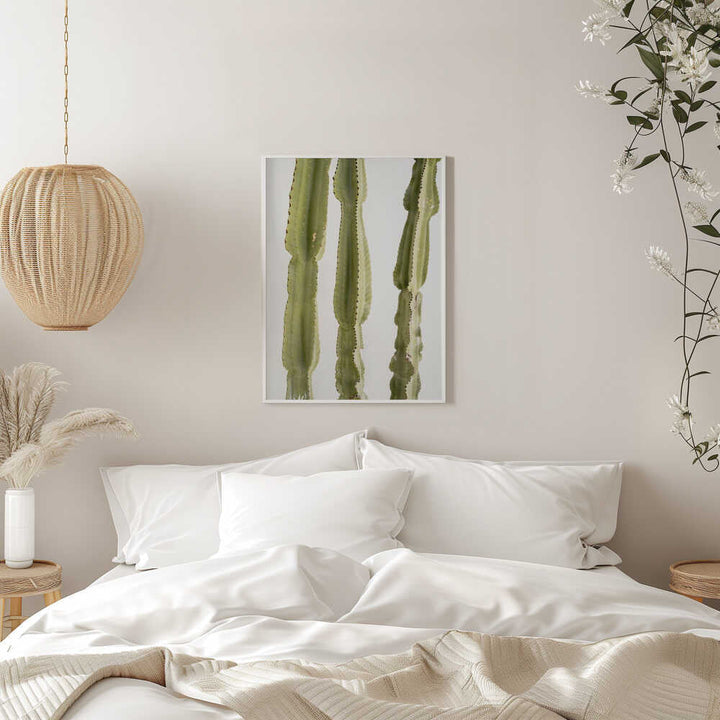3 Cacti - Stretched Canvas, Poster or Fine Art Print - I Heart Wall Art - Poster Print, Canvas Print or Framed Art Print