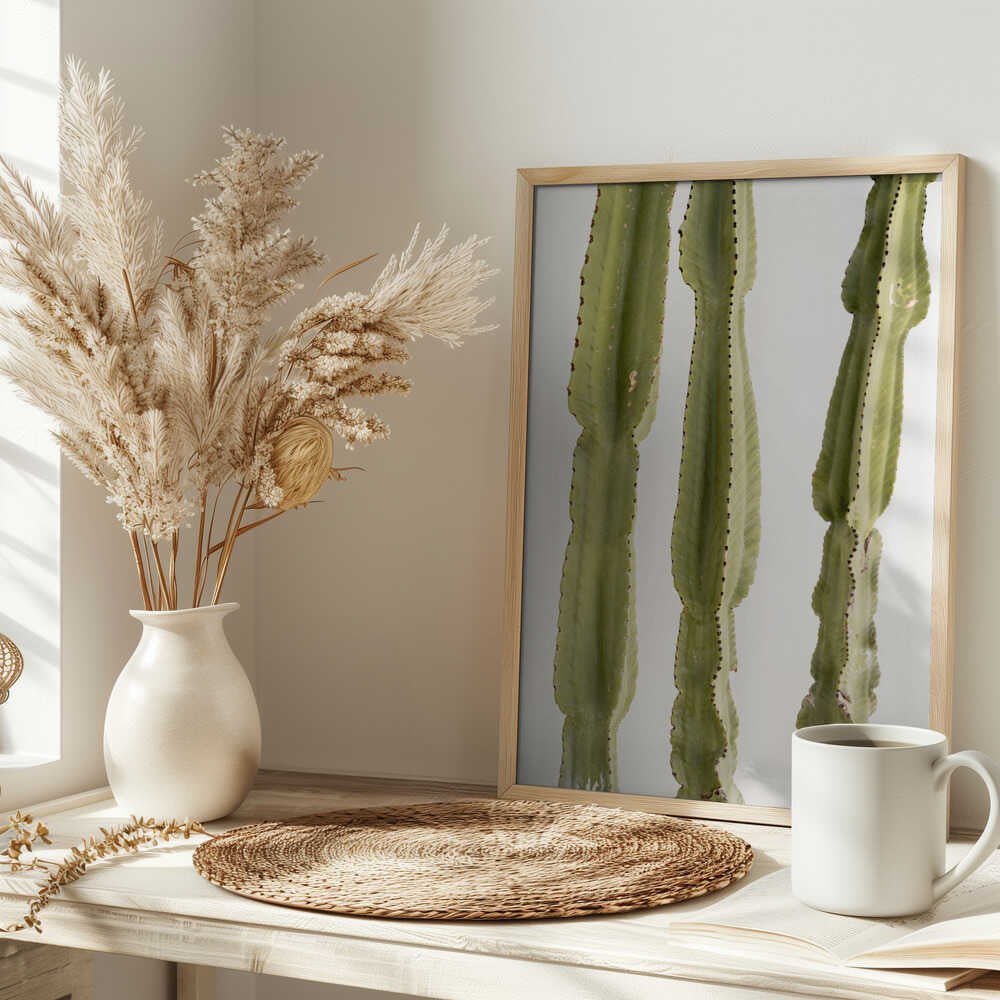 3 Cacti - Stretched Canvas, Poster or Fine Art Print - I Heart Wall Art - Poster Print, Canvas Print or Framed Art Print