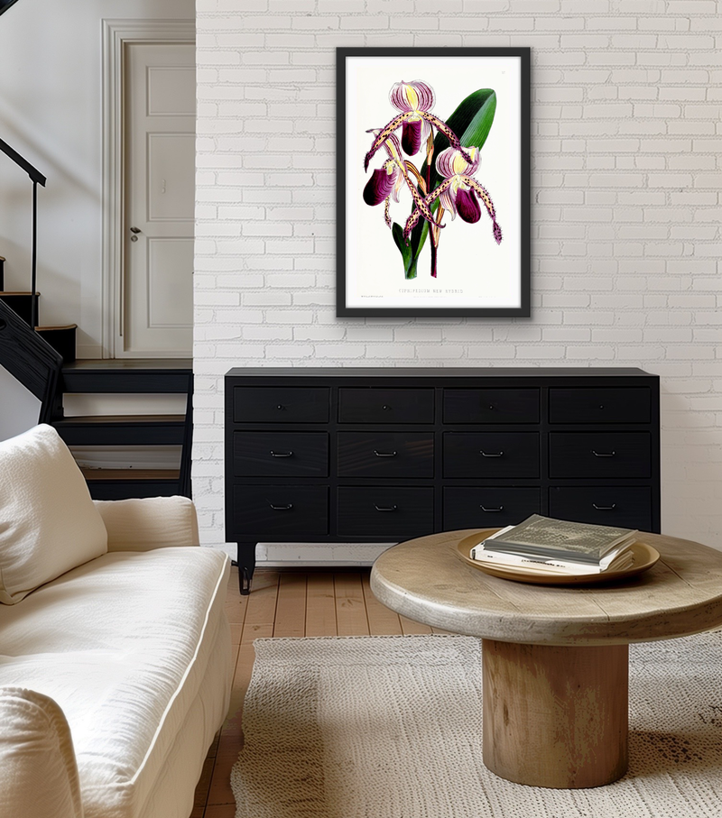 Iris of Flower artists of Kew from The Floral Magazine (1861-1881) by Worthington G. Smith, John N. Fitch and Walter H. Fitch - Botanical Illustration Stretched Canvas or Wall Art Print