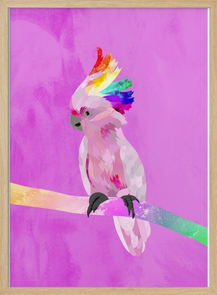 6 Rainbow Cockatoo 01 - Stretched Canvas, Poster or Fine Art Print - I Heart Wall Art - Poster Print, Canvas Print or Framed Art Print