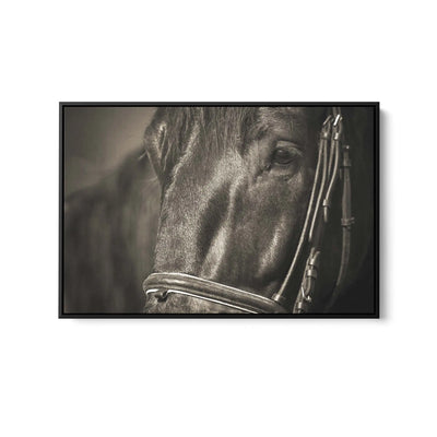 A Dark Horse's Face - Stretched Canvas, Poster or Fine Art Print I Heart Wall Art