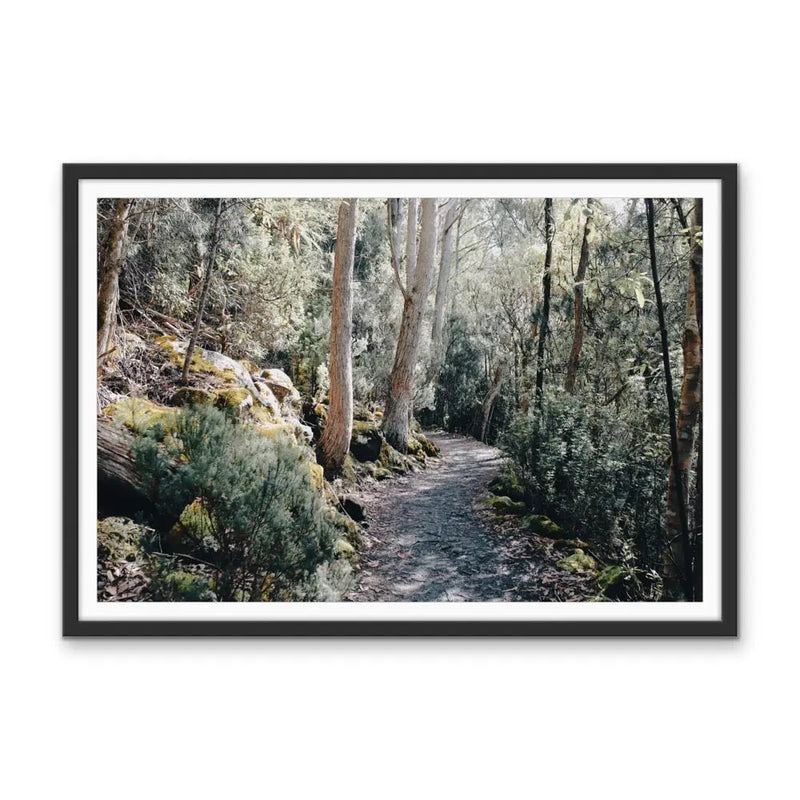 A Path On Kunanyi - Photographic Print of Mount Wellington Tasmania I Heart Wall Art Australia