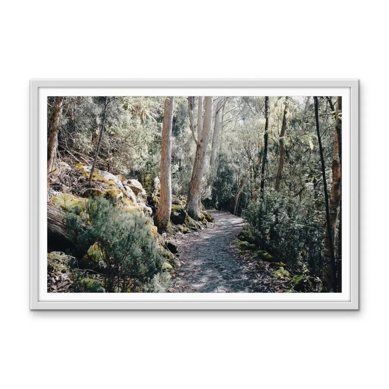 A Path On Kunanyi - Photographic Print of Mount Wellington Tasmania I Heart Wall Art Australia