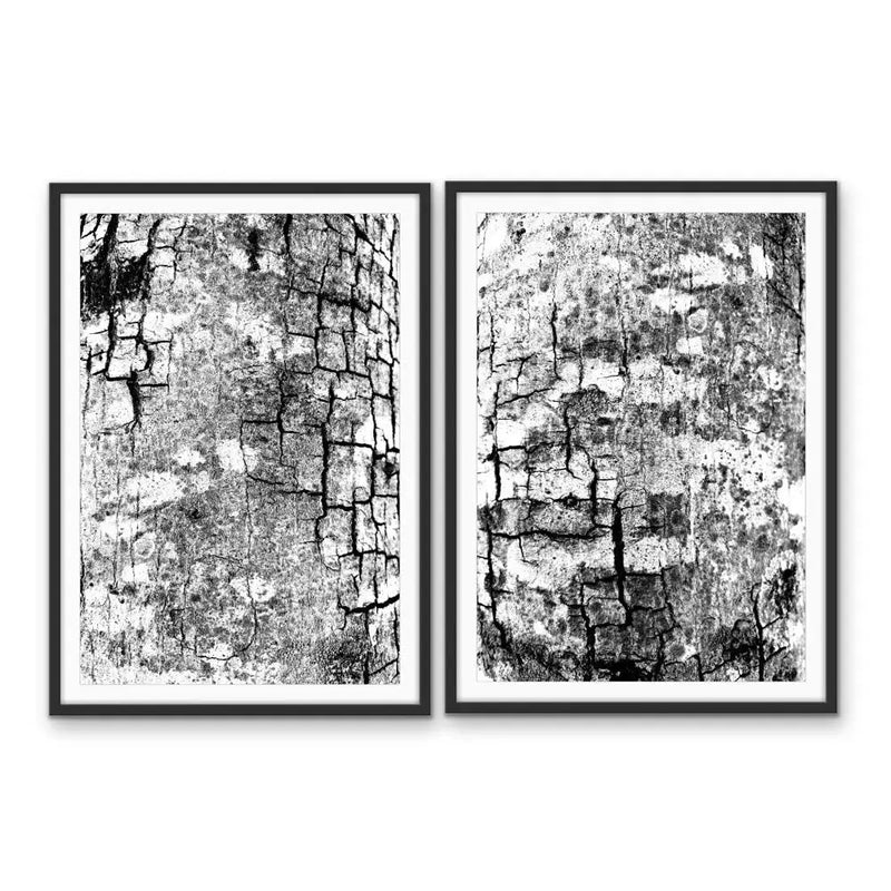A Study Of Bark In Black and White -   Stretched Canvas Print or Framed Fine Art Print - Artwork I Heart Wall Art Australia