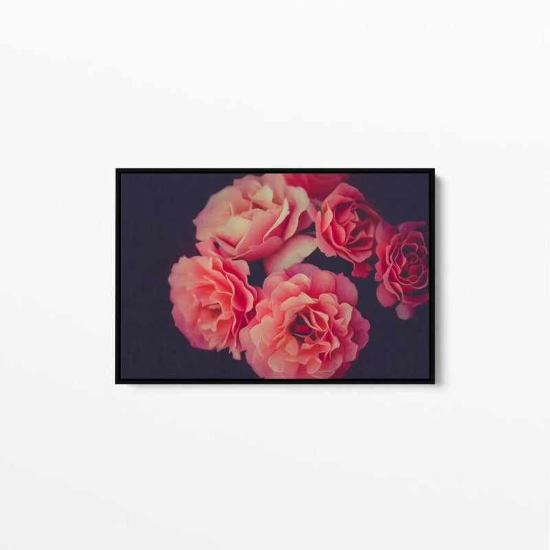A Twist Of Fate - Navy and Pink Rose Artwork Stretched Canvas Wall Art - I Heart Wall Art - Poster Print, Canvas Print or Framed Art Print
