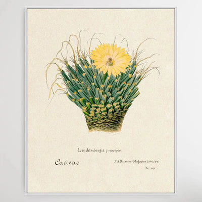 Agave cactus - I Heart Wall Art - Poster Print, Canvas Print or Framed Art Print