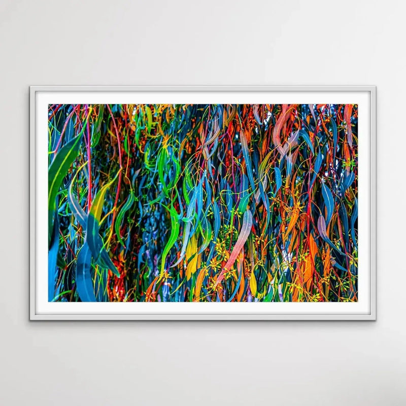 All The Colour - Colourful Eucalyptus Leaf Photographic Print - I Heart Wall Art - Poster Print, Canvas Print or Framed Art Print