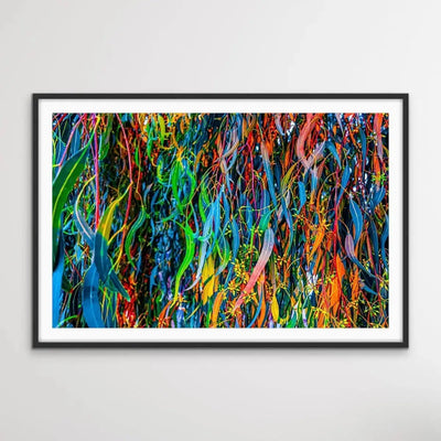 All The Colour - Colourful Eucalyptus Leaf Photographic Print - I Heart Wall Art - Poster Print, Canvas Print or Framed Art Print