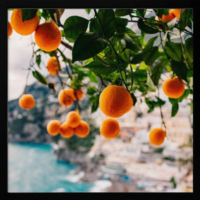 Amalfi Coast Oranges - Square Stretched Canvas, Poster or Fine Art Print I Heart Wall Art