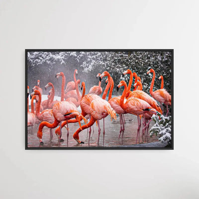 American Flamingo (2009) by Mehgan Murphy - I Heart Wall Art - Poster Print, Canvas Print or Framed Art Print