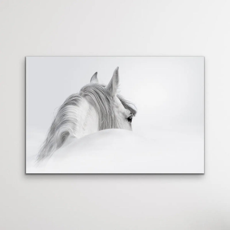 Andalusian Horse - Black and White Art Print or Canvas Print - I Heart Wall Art - Poster Print, Canvas Print or Framed Art Print