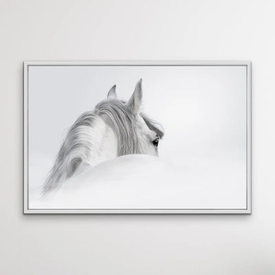 Andalusian Horse - Black and White Art Print or Canvas Print - I Heart Wall Art - Poster Print, Canvas Print or Framed Art Print