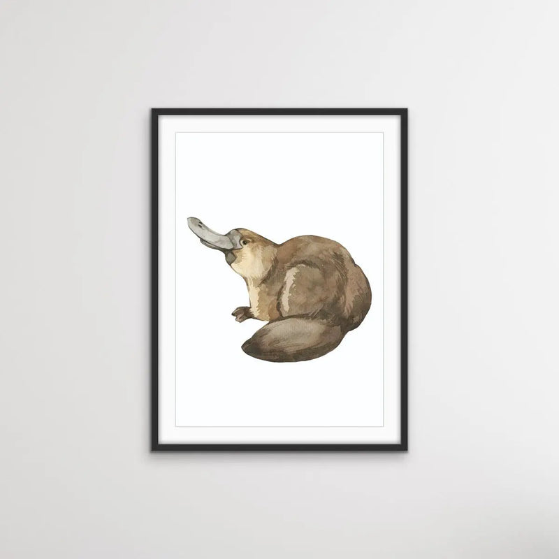 Australian Nursery Animals -Sketches of Australian Native Animals for Kids Rooms and Nurseries - I Heart Wall Art - Poster Print, Canvas Print or Framed Art Print