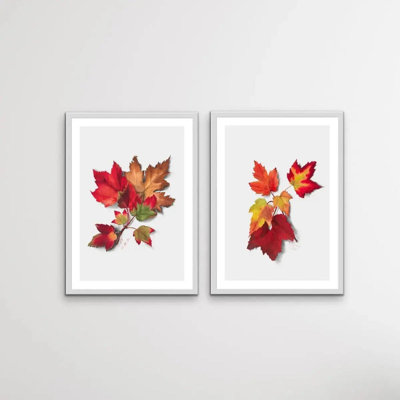 Autumn Leaves I and II - Two Piece Set of Botanical Illustrations By Mary Vaux Walcott - I Heart Wall Art - Poster Print, Canvas Print or Framed Art Print