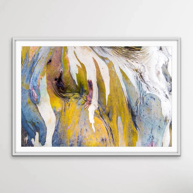 Bark in Yellow Tones - I Heart Wall Art - Poster Print, Canvas Print or Framed Art Print