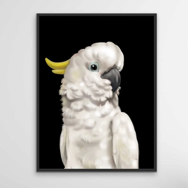 Barry The Sulphur Crested Cockatoo - Barry The Sulphur Crested Cockatoo Wall Art Print Stretched Canvas Wall Art - I Heart Wall Art - Poster Print, Canvas Print or Framed Art Print